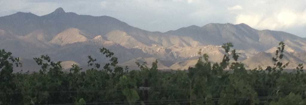 Vines with stormy Dos Cabezas Mountains in background