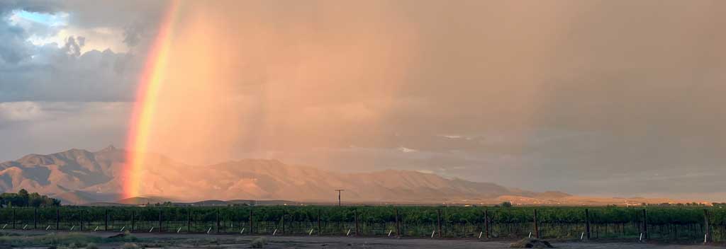 Rainbow against the Dos Cabezas Mountains